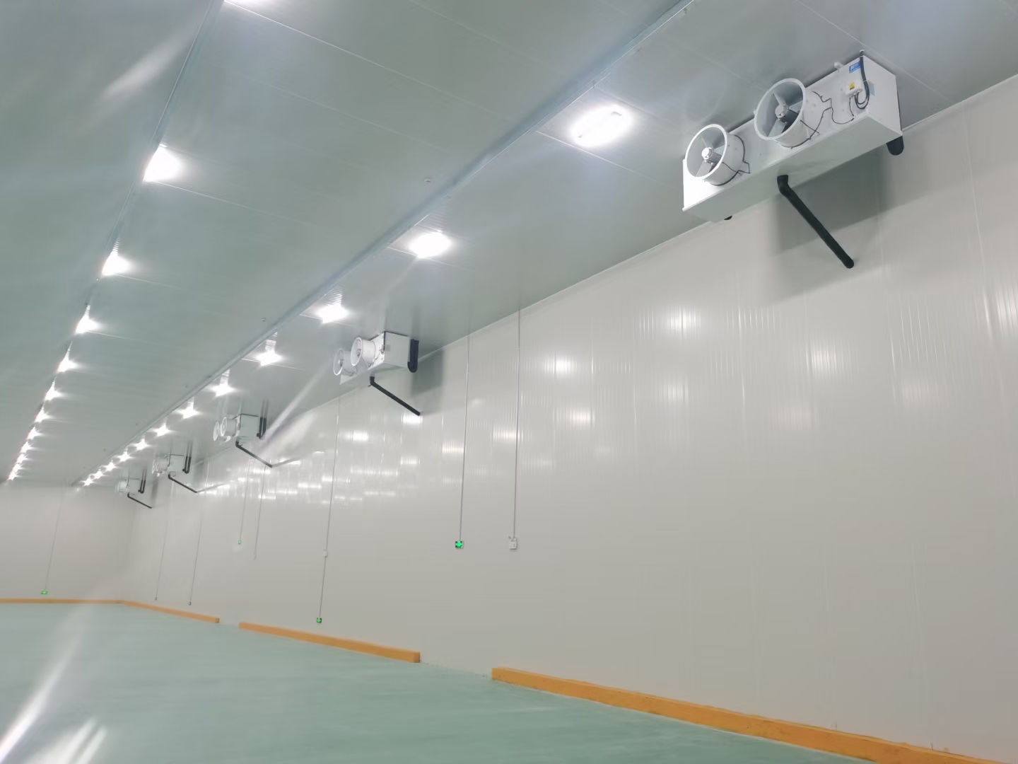 廣州建造500平低溫水產(chǎn)海鮮冷凍庫安裝價(jià)格