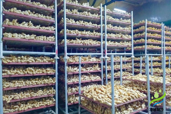 生姜保鮮冷庫(kù)