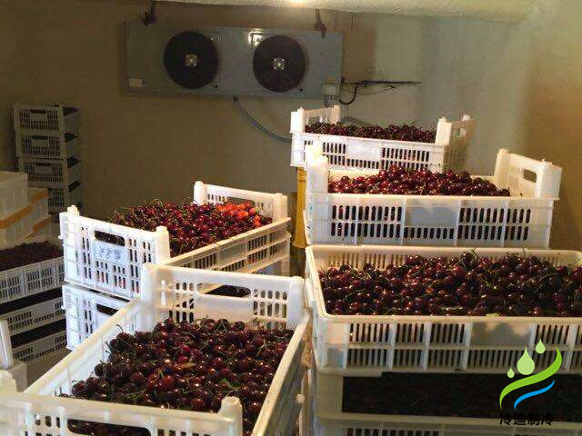 建設(shè)50噸車厘子保鮮氣調(diào)冷庫造價多少錢？