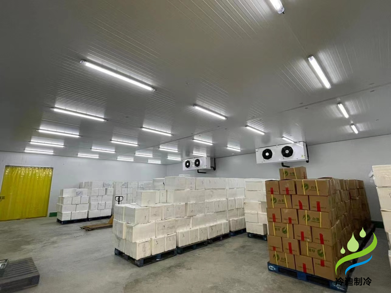 建造1000平方果蔬保鮮冷庫(kù)造價(jià)多少錢？