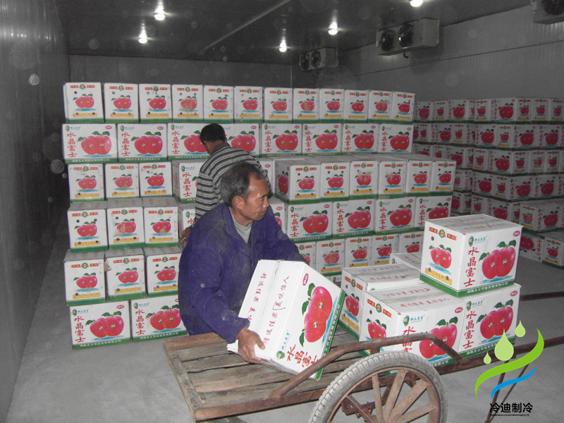 安裝一個(gè)蘋(píng)果保鮮冷庫(kù)大概多少錢(qián)？