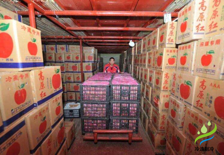 安裝一個(gè)蘋(píng)果保鮮冷庫(kù)大概多少錢(qián)？
