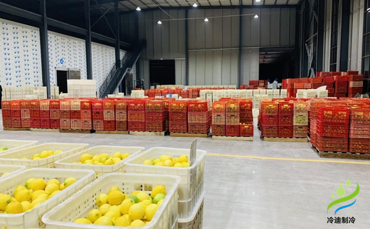 水果冷庫建設(shè)成本多少錢一平方米？