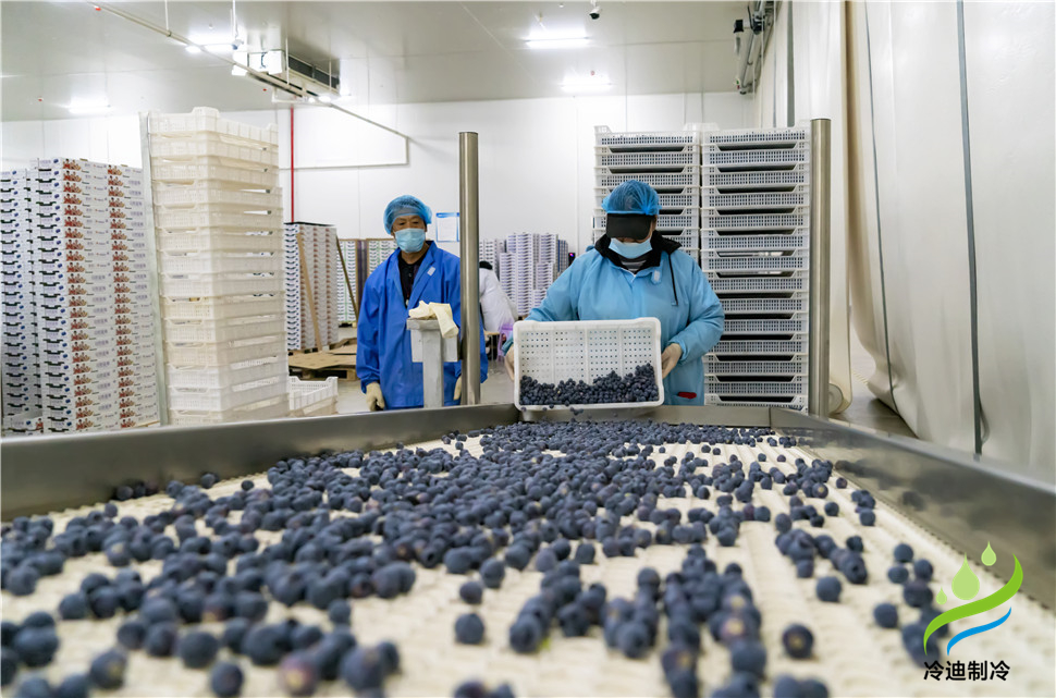 安裝一個(gè)100平米藍(lán)莓速凍冷庫(kù)造價(jià)多少錢(qián)？