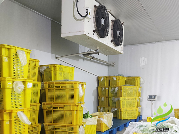 2025年冷庫補(bǔ)貼政策解讀預(yù)測