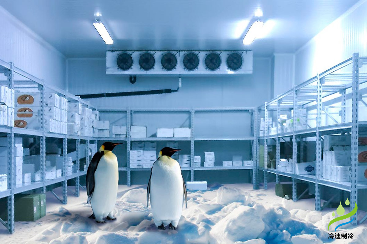 速凍冷庫造價