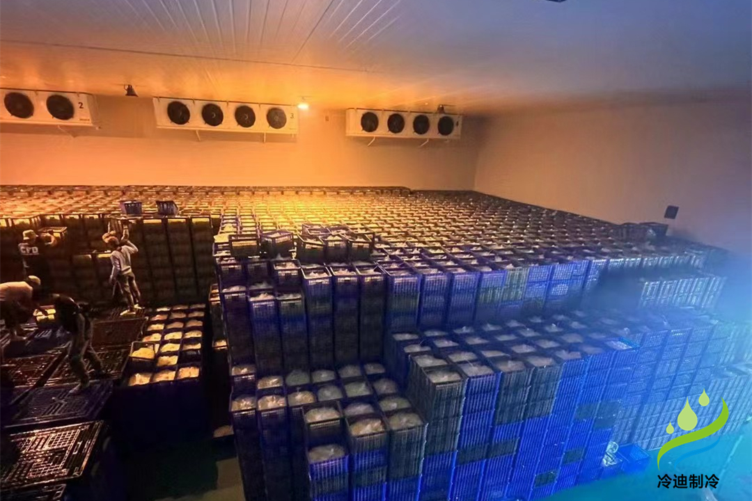 1000立方冷庫(kù)可以存多少噸？用多大制冷設(shè)備？