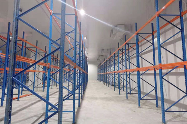 建造一個櫻桃保鮮冷庫多少錢？(圖2)