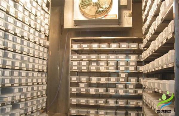 安裝一個(gè)小型種子冷庫(kù)大概要多少錢？