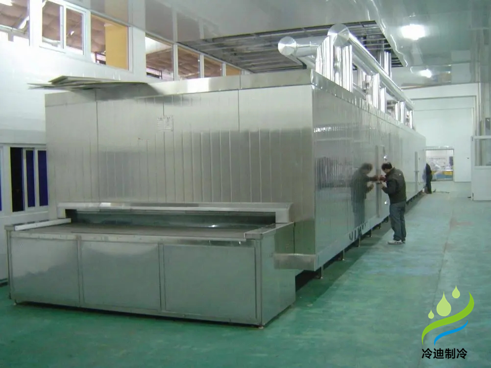 安裝一條速凍隧道大概需要花多少錢？