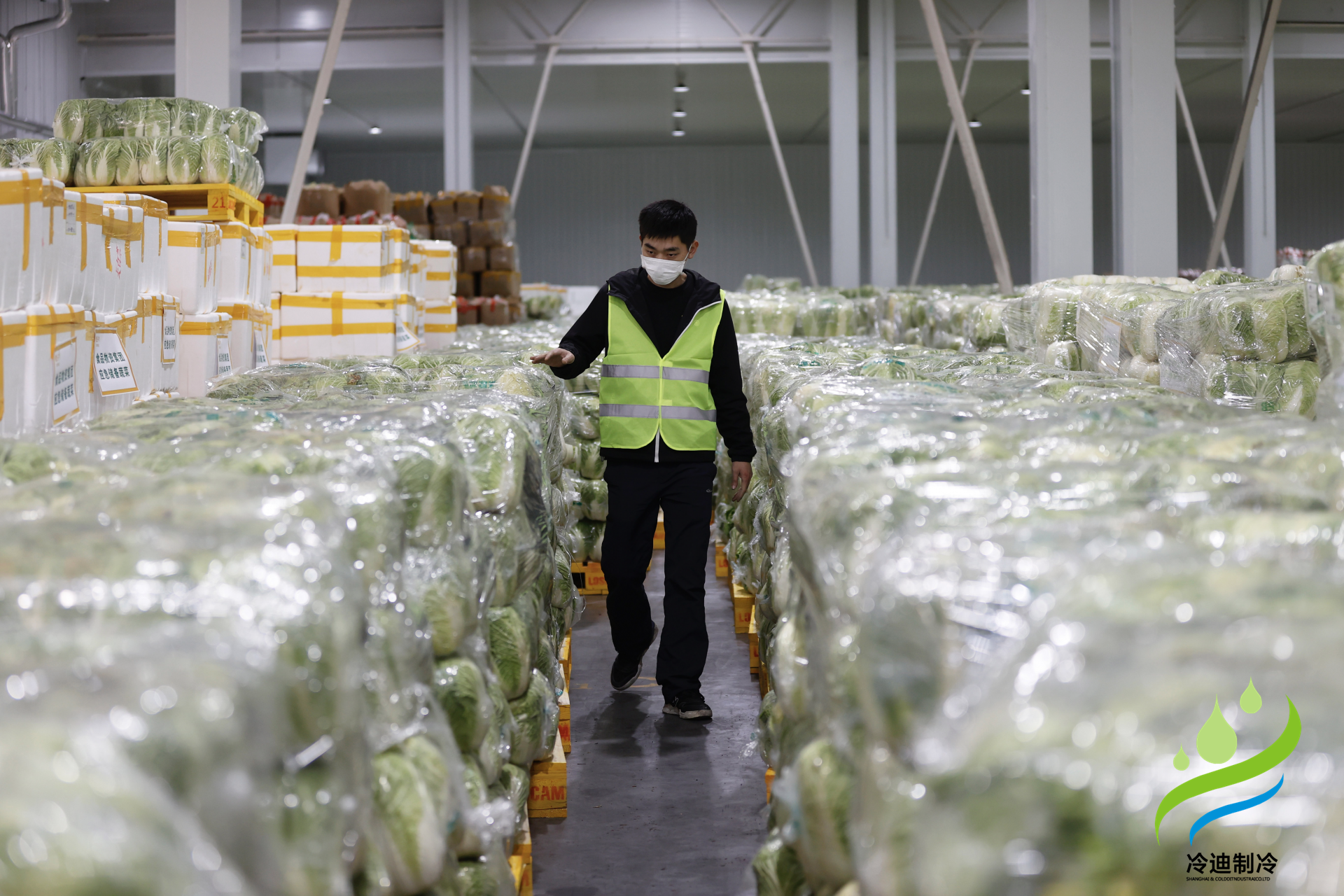 安裝一個生鮮冷鏈冷庫需要多少錢？(圖2)