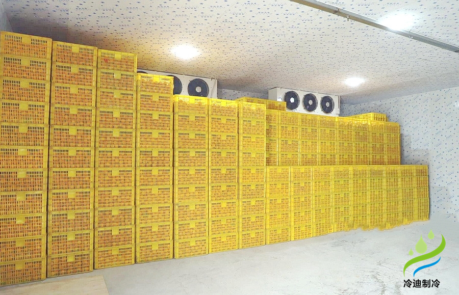 建造一個橙子冷庫需要多少錢？(圖2)
