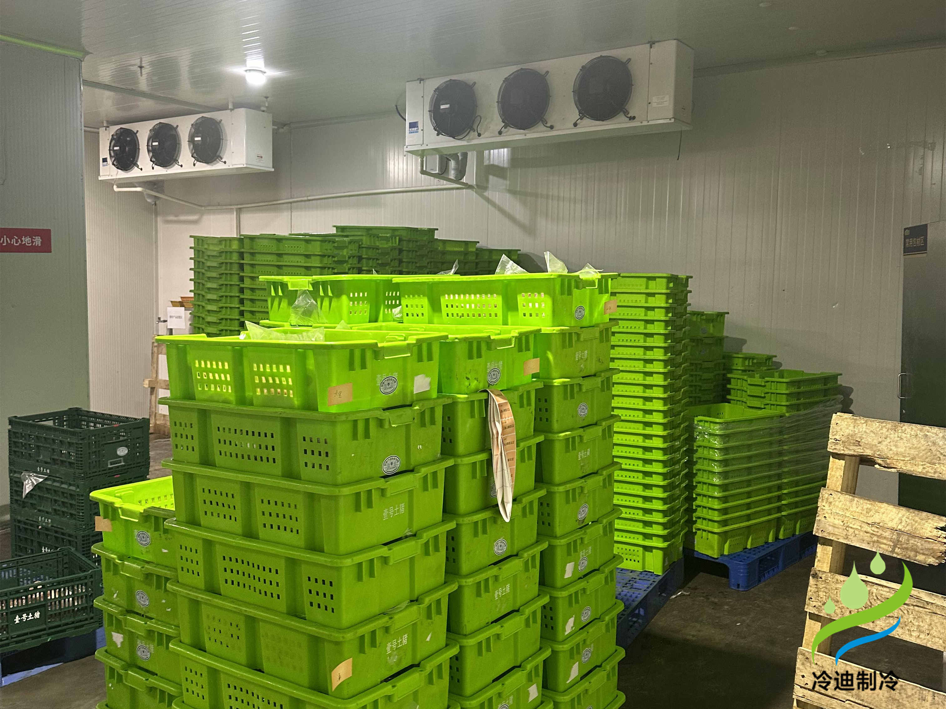 建造一座30噸冷庫造價需要多少錢？