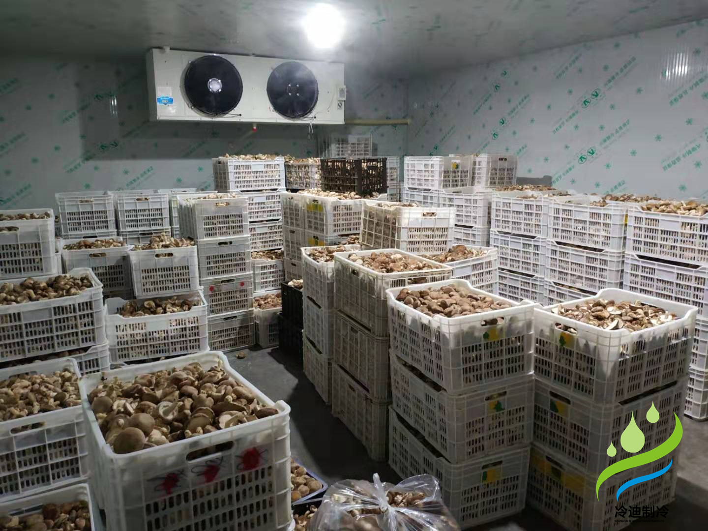 菌菇保鮮冷庫(kù)
