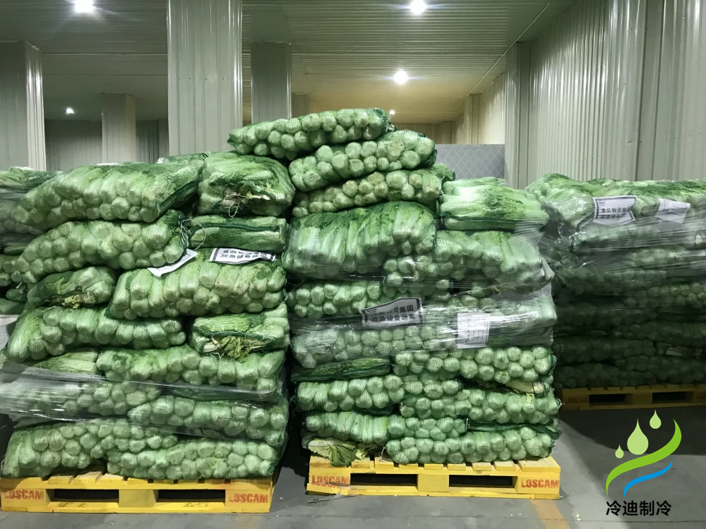 蔬菜保鮮冷庫
